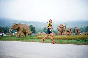 BIB: 
                            <button type="button" onclick="openModal(22401609)" class="btn btn-primary btn-sm float-right btn-popup" data-toggle="modal" data-target=".modal-high-quality">
                        <i class="fas fa-shopping-cart"></i> Add to Cart
                    </button>
                                            <button type="button" onclick="isThisMe(22401609, true)" class="btn btn-success btn-sm float-right btn-popup btn-isme hidden" data-toggle="tooltip" data-placement="bottom" title="นี่คือรูปของคุณใช่ไหม คลิกที่นี่เพื่อเอาเข้าอัลบั้ม">
                        <i class="fas fa-plus"></i> Add to album
                    </button>
                    <button type="button" onclick="isThisMe(22401609, false)" class="btn btn-warning btn-sm float-right btn-popup btn-isnotme hidden">
                        <i class="fas fa-ban"></i> Remove from album
                    </button>